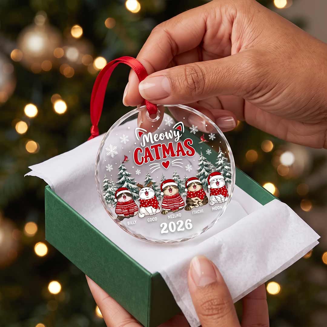 Meowy Catmas Kitten Custom Pet Names Cat Round Glass Ornament