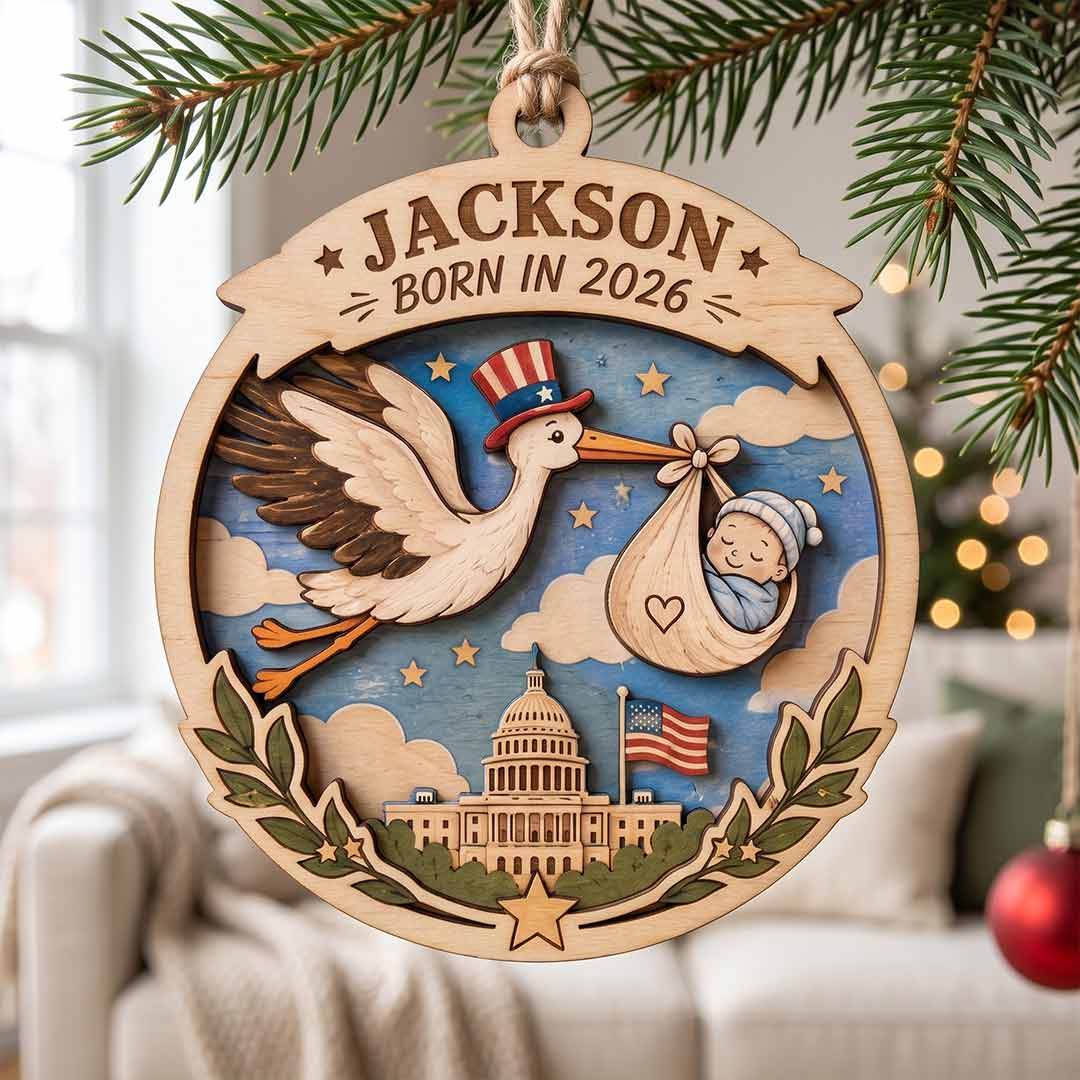 America's 250th Born in 2026 Stork Personalized Custom Name Date Newborn 2-Layer Wooden Christmas Ornament for New Baby Gift