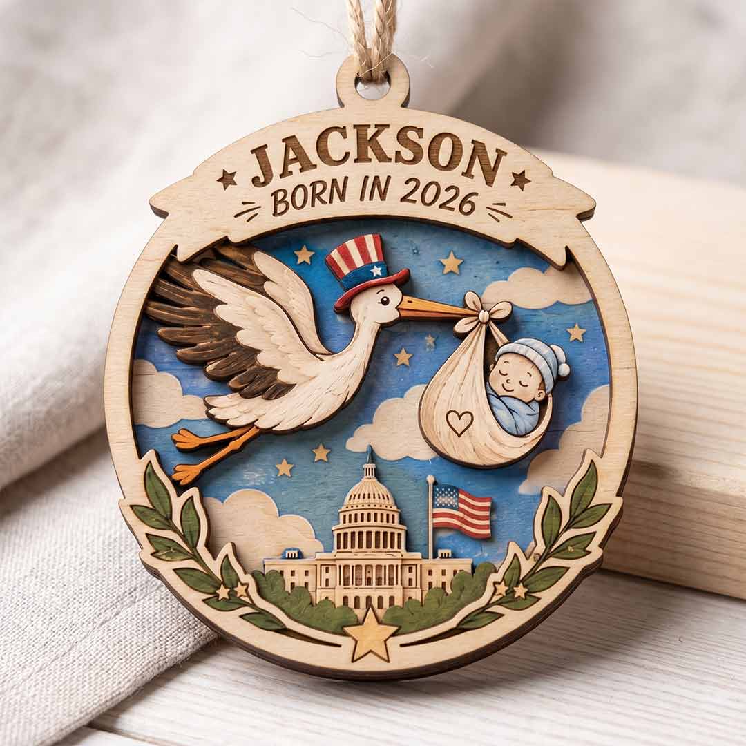 America's 250th Born in 2026 Stork Personalized Custom Name Date Newborn 2-Layer Wooden Christmas Ornament for New Baby Gift