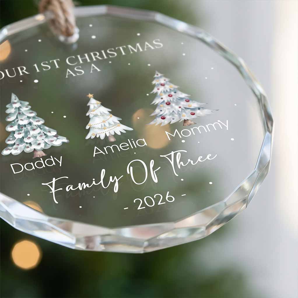 Our First Christmas as a Family of Two, Three, Four Holiday Keepsake Personalized Custom Name Date Newborn Round Glass Christmas Ornament