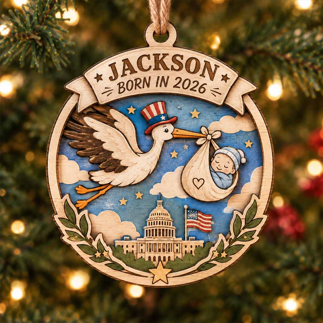 America's 250th Born in 2026 Stork Personalized Custom Name Date Newborn 2-Layer Wooden Christmas Ornament for New Baby Gift