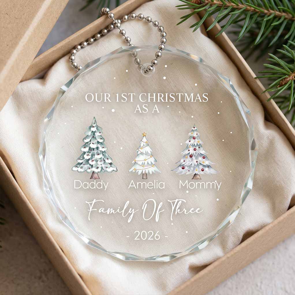 Our First Christmas as a Family of Two, Three, Four Holiday Keepsake Personalized Custom Name Date Newborn Round Glass Christmas Ornament