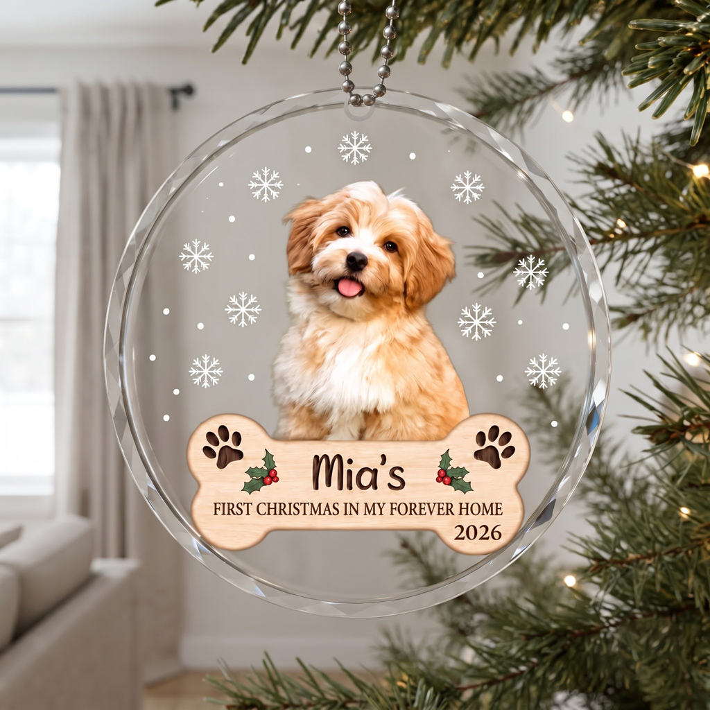 First Christmas In My Forever Home Keepsake Dog Lover Gift Custom Pet Name Dog Cat Round Glass Christmas Ornament