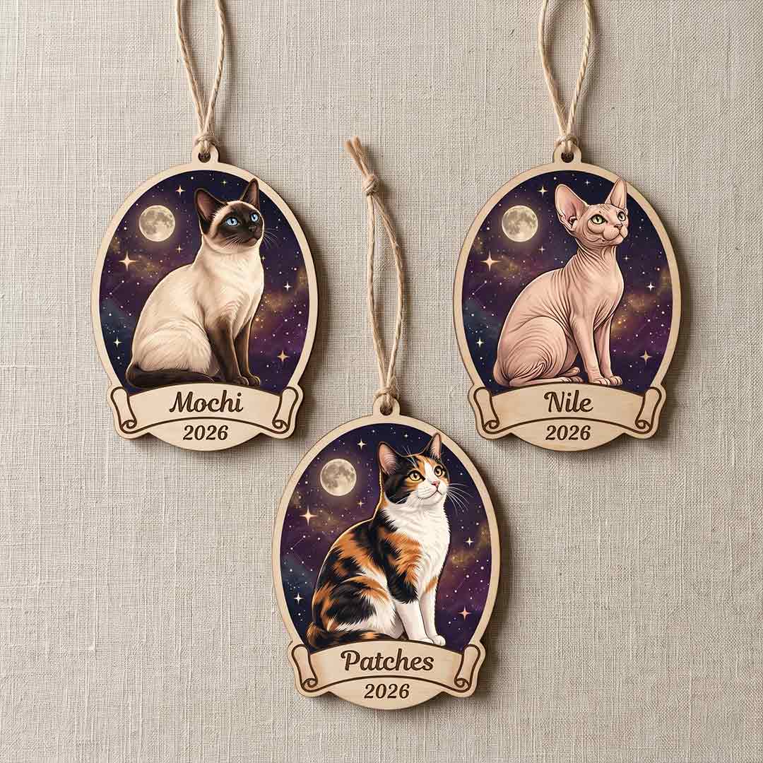 Personalized Cat Night Sky Custom Name Date Photo Cat Lover Gift Wooden Christmas Ornament